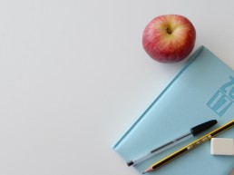 food and activity diary